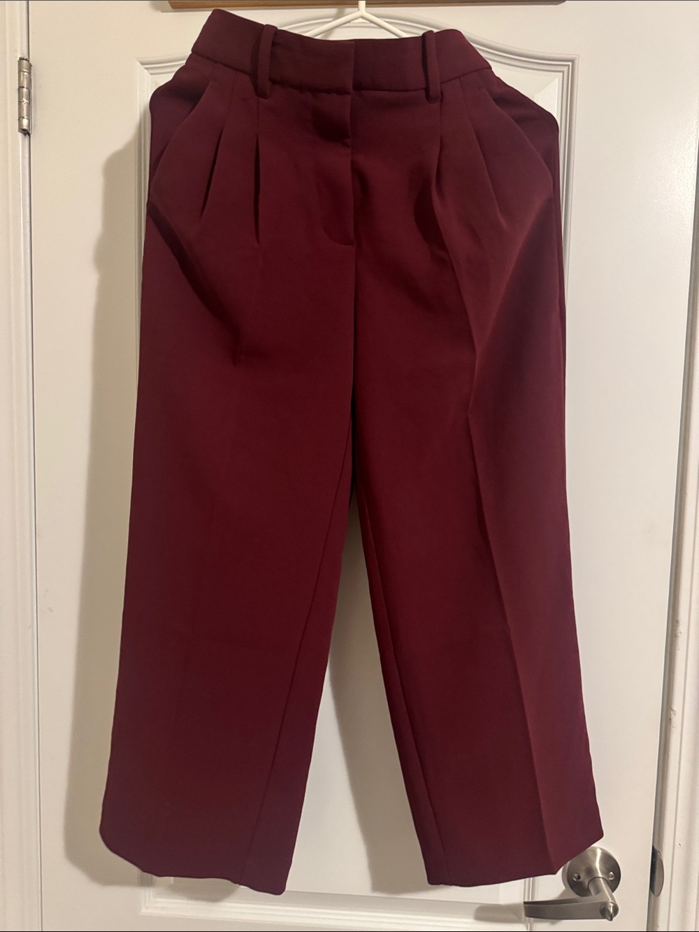 Aritzia Wide-Leg High-Waist Pants in Deep Wine